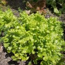 증산농장 이미지