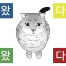 엉클스캣 이미지