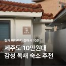제주도 서쪽 숙소 추천! 협재해수욕장과 가까운 독채 펜션 협재숲 후기