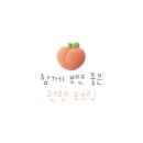 성신여대왁싱&브라질리언왁싱&슈가링&임산부&알리왁싱