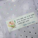 한양대 21세기 태권도장 이미지