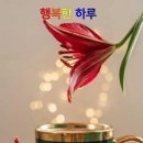 행복한 하루 이미지