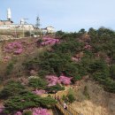 고려산 이미지