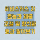 풍년농약식물병원 | 히비스커스 차 효능과 체중 조절 및 항산화 효과 알아보기