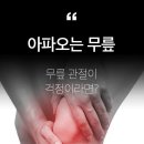 (품절)무로 바나라스 무릎보호대 이미지