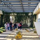 화명초교 이미지