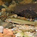 유상수산 이미지