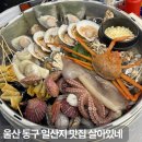 세븐일레븐 울산야음 신선점 | 재방문 울산 동구 일산지 맛집 살아있네 일산점 일산해수욕장 조개전골