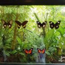 기안농장 이미지