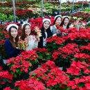 청계 태양광발전소 이미지