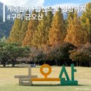 구미카정비 | [등산] 등린이 등산코스 - 케이블카도 타고 등산도 하는 - 금오산 등산코스 (알레버스, 난이도, 소요시간)