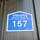 선재유일390 이미지