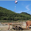 횡성한우 이미지