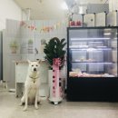 망고의 간식창고 이미지