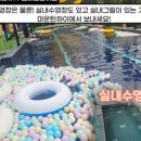 고바우보리밥
