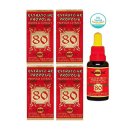 그린폴리 이미지