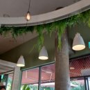 스넥테라스 이미지