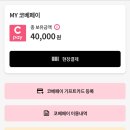플렉스페이_전용