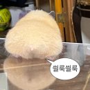 그랩커피(Grab coffee) 이미지