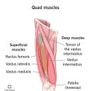 홍명주내과의원 이미지