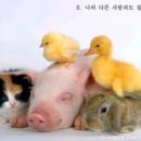 아름답다 Daum카페