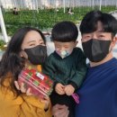 광산농장 이미지