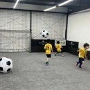 유소년 축구장1 | 논산유소년축구 | 실내축구장 워밍업 ‘대왕축구공 폭탄’ 훈련 후기