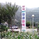 대금민박 이미지