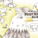 훈춘양고기