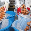 김성곤농장 이미지