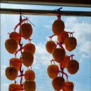 창평우리병원 이미지