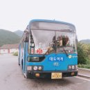 주천농협주유소 이미지