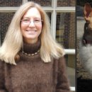 강아지와고양이나라 동물병원 이미지