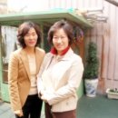 양재천사유치원 이미지