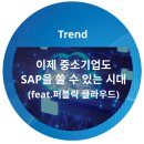 이제 중소기업도 SAP을 쓸 수 있는 시대(feat.퍼블릭 클라우드)