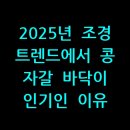 2025년 조경 트렌드에서 콩 자갈 바닥이 인기인 이유