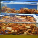 공룡수산식당 이미지