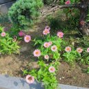 남원서원초등학교 이미지