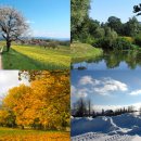 베스티안어학원 이미지