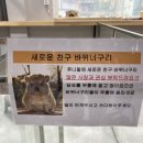 히히냥냥 이미지