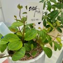 우리 가족 헤어 컷 이미지