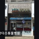 프란다스동물병원