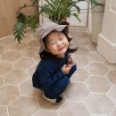 아베끄몽 이미지