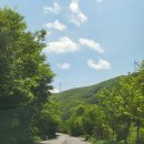 귀네미 | 5월 강원도여행 가볼만한 곳 태백 귀네미마을 전망대 가는 법