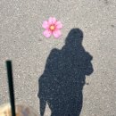 우지커피 망우점 네이버블로그