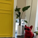 도아약국 이미지