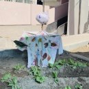 시립구성어린이집(모아랑) 이미지