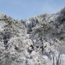 2026년1월(345회) 산행안내(가야산:예산) 이미지