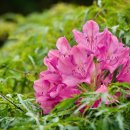 합산 경로당 이미지