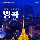 돌고래여행사(주) Daum카페